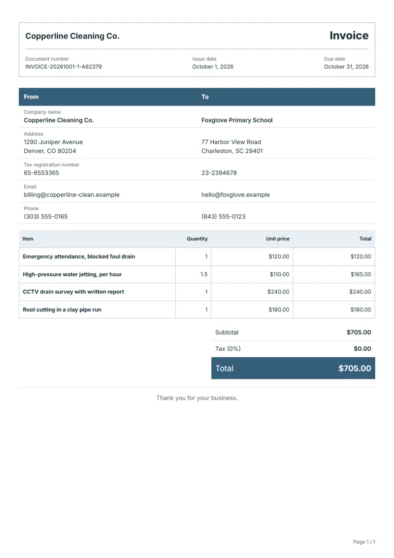 Free drain cleaning invoice template: sample document with line items, quantities, prices and the total